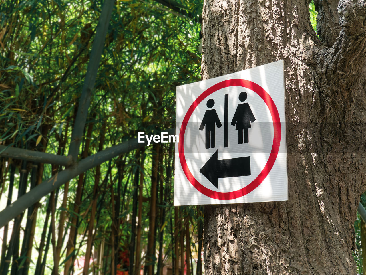 Black toilet sign with arrow inside red circle hanging on the tree