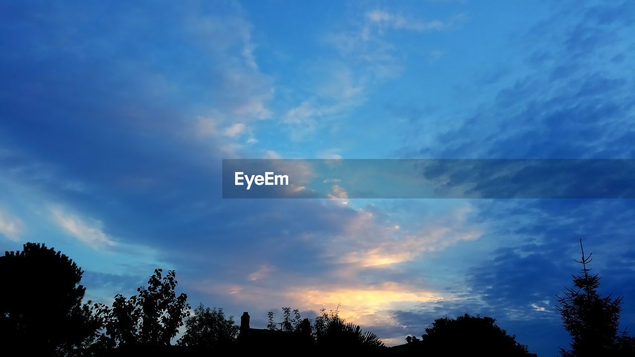 SILHOUETTE OF TREES AGAINST CLOUDY SKY