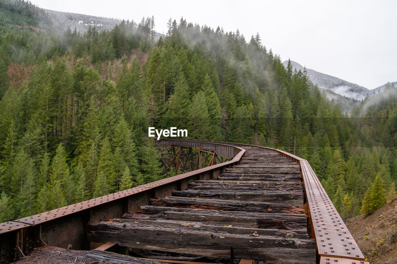 Footbridge in forest against sky