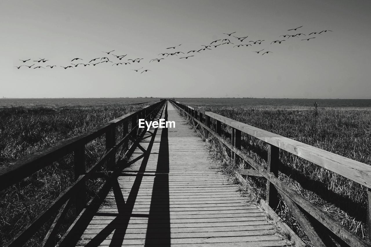 BIRDS FLYING OVER LANDSCAPE AGAINST SKY