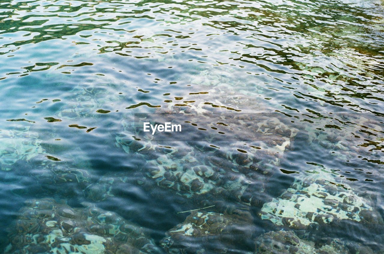 FULL FRAME SHOT OF WATER IN SWIMMING