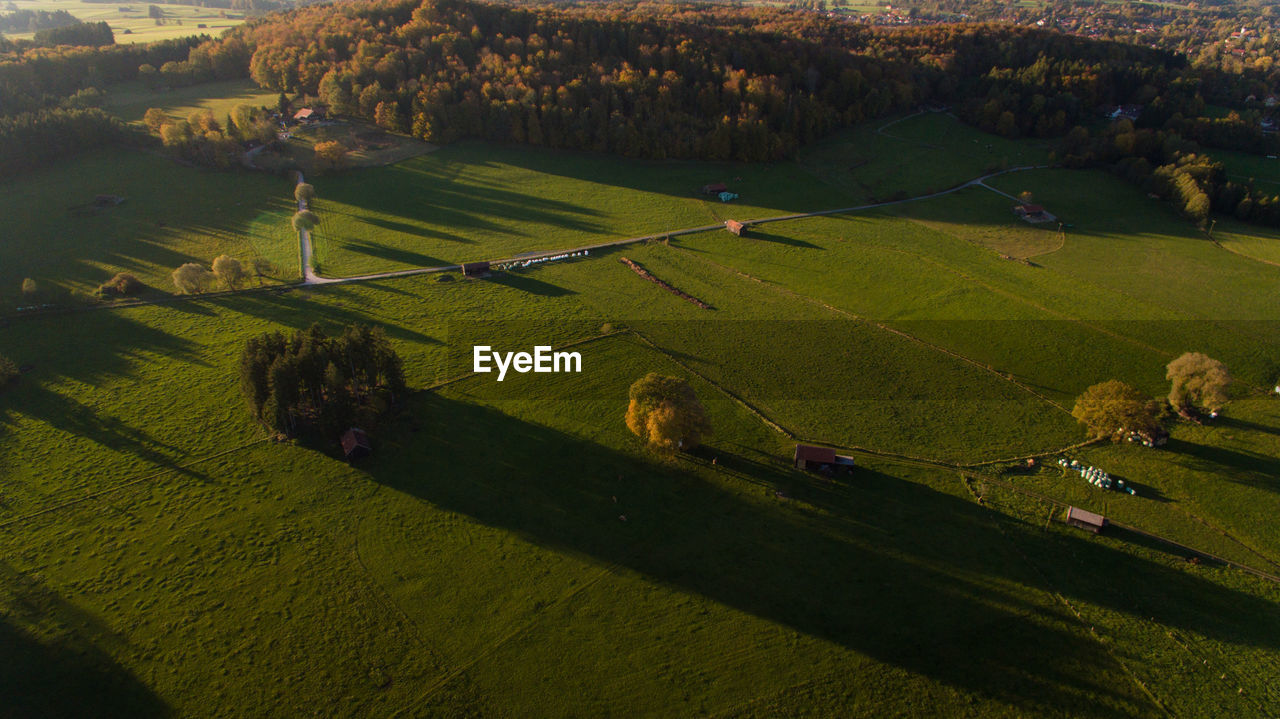 HIGH ANGLE VIEW OF FARM