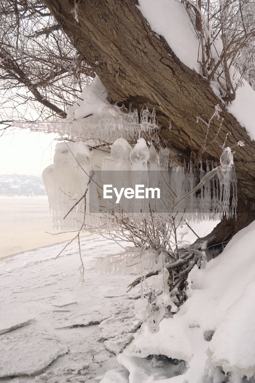 ICICLES ON SNOW COVERED FIELD