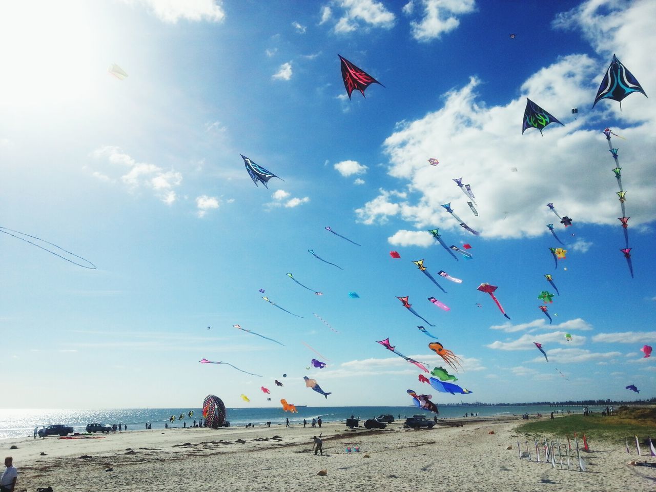 Kites being flown at beach