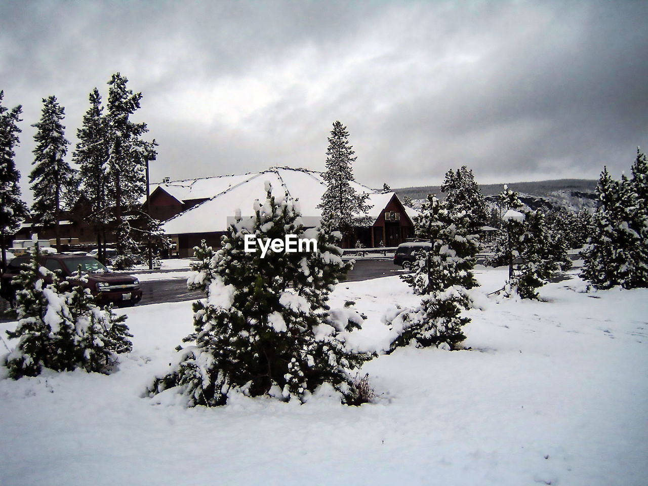 TREES AND PLANTS ON SNOW COVERED FIELD BY HOUSES AGAINST SKY