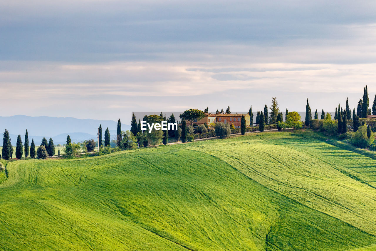 Houses on a hill among fields and trees