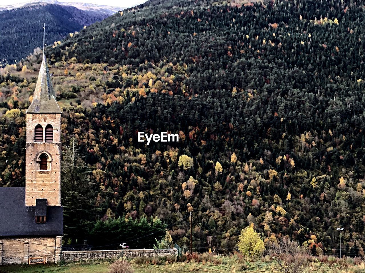 VIEW OF RURAL LANDSCAPE