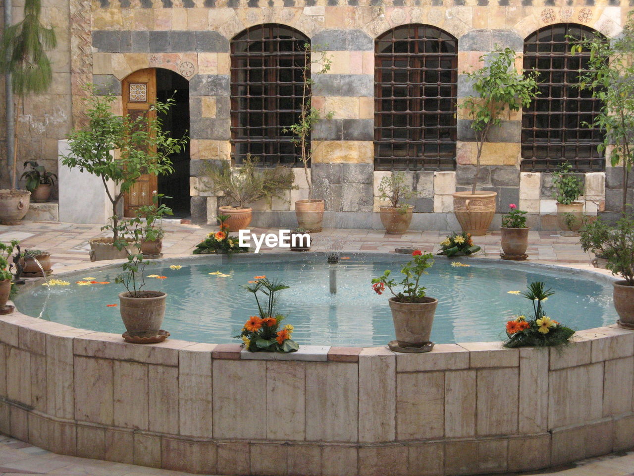 POTTED PLANTS AGAINST BUILDING WALL