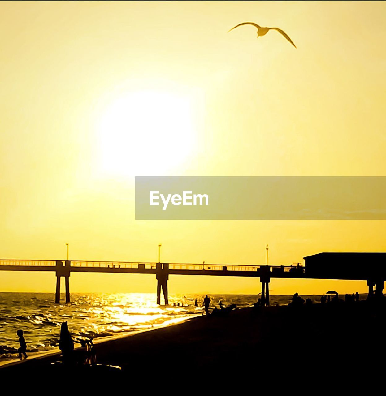 SILHOUETTE OF BRIDGE AT SUNSET