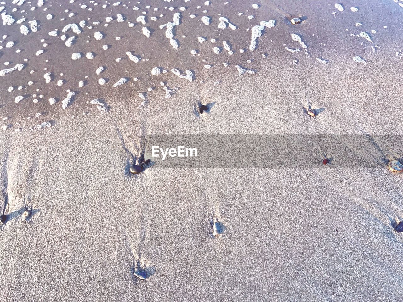 HIGH ANGLE VIEW OF STARFISH ON SAND