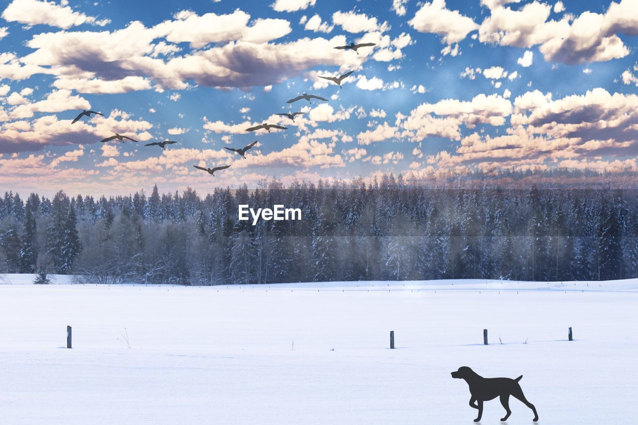 Scenic view of snow on field against sky