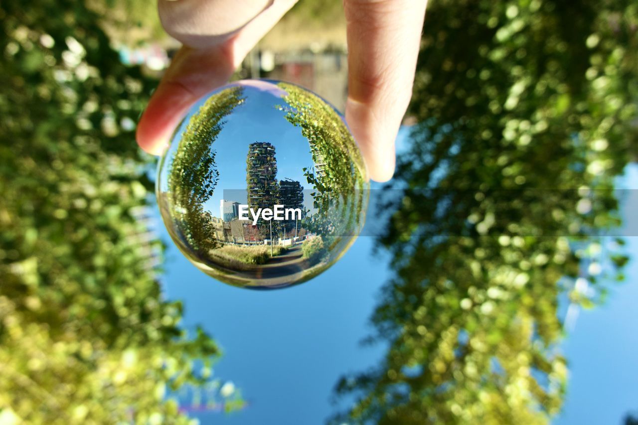 tree, sphere, green, plant, one person, nature, holding, reflection, hand, yellow, low angle view, focus on foreground, day, sunlight, sky, outdoors, ball, shiny, close-up, leisure activity, crystal ball, grass, shape, adult, blue, men