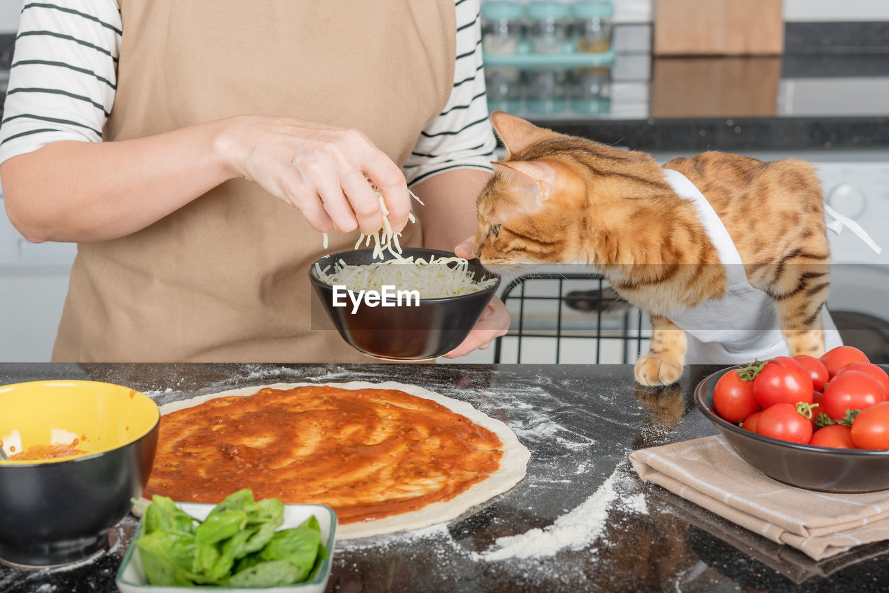 The woman owner and her cat lay out the pizza toppings on the dough.