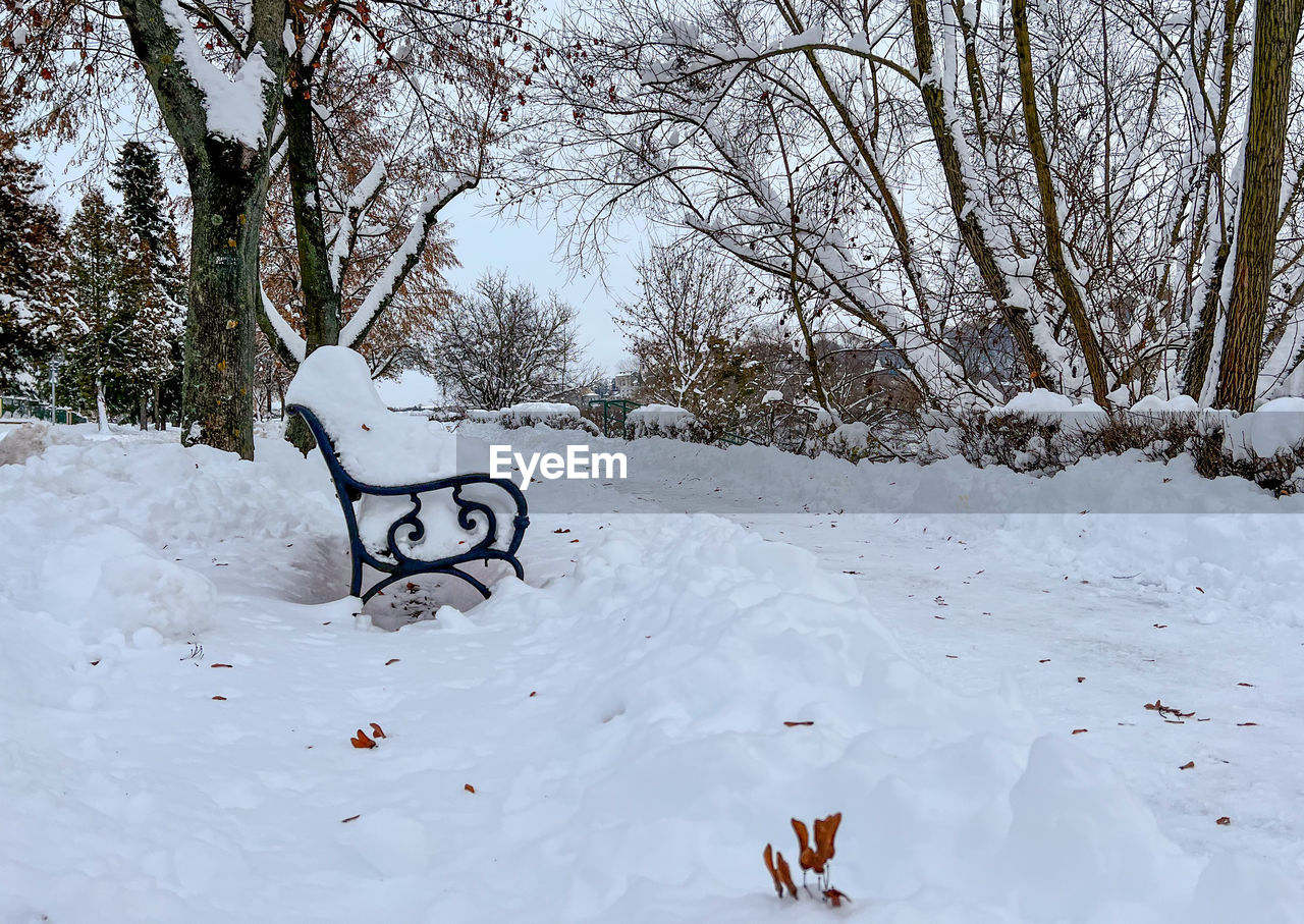 winter, snow, cold temperature, tree, nature, plant, white, no people, beauty in nature, day, freezing, scenics - nature, tranquility, environment, land, outdoors, blizzard, tranquil scene, branch, winter storm, landscape, frozen, deep snow, non-urban scene, seat