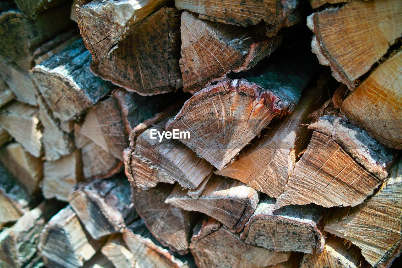 Full frame shot of logs in forest