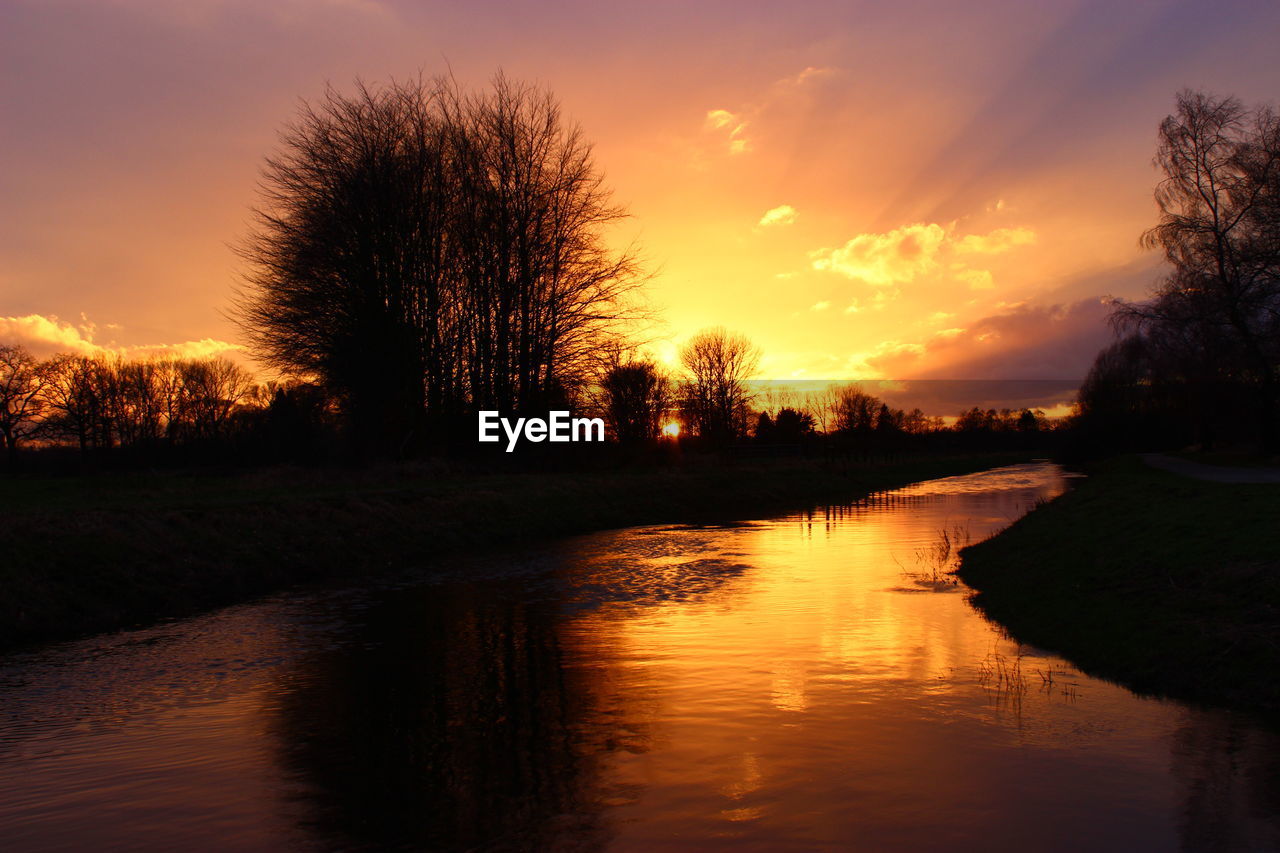 Silhouette of trees at sunset