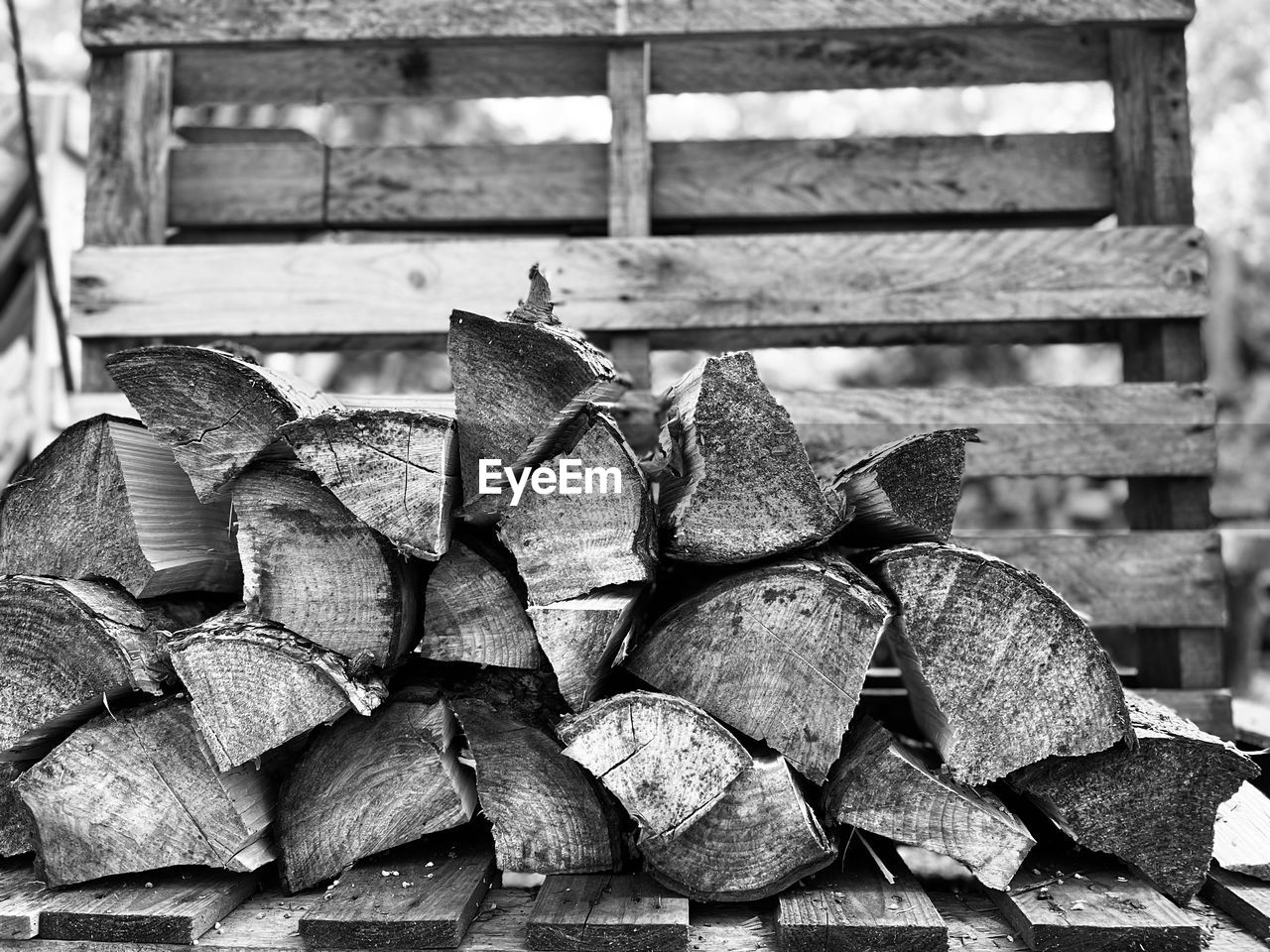 Close-up of logs