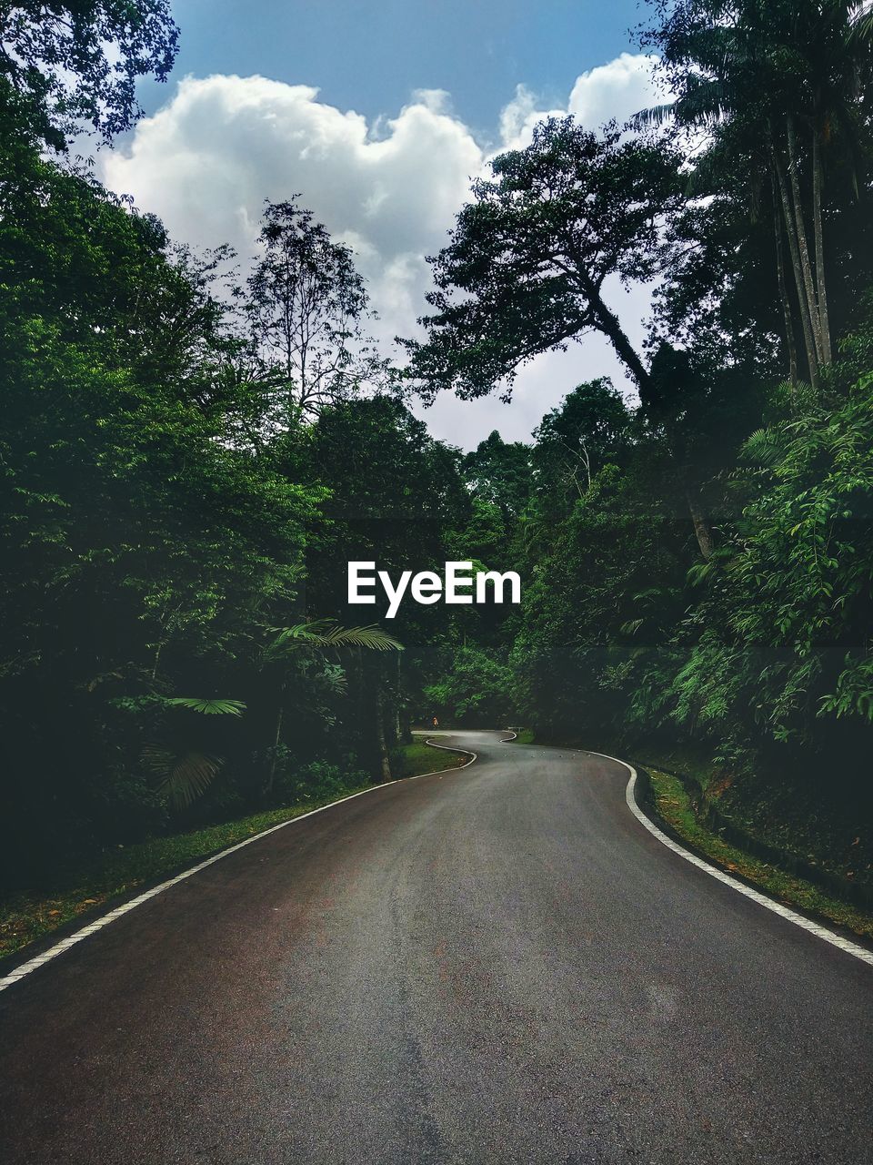 Empty road amidst trees against sky