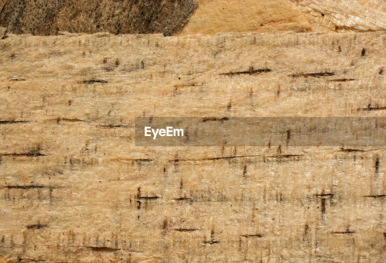 CLOSE-UP OF WOODEN PLANK