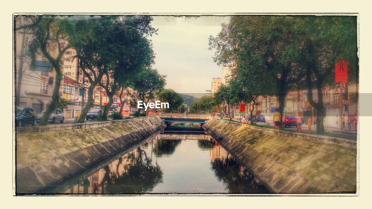 VIEW OF CANAL ALONG TREES