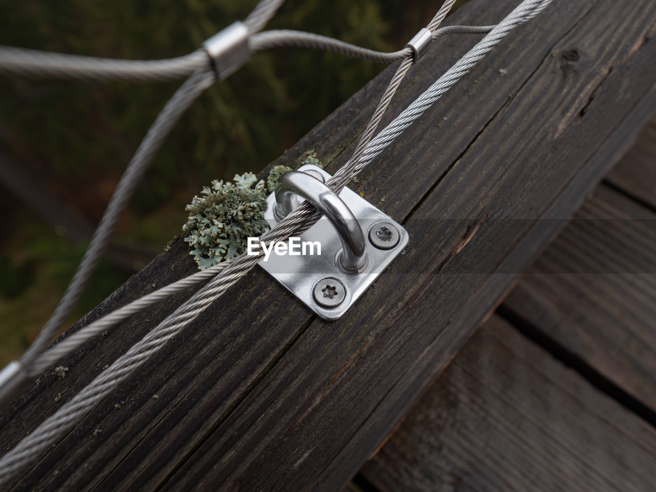 wood, no people, metal, close-up, nature, outdoors, security, protection, day, focus on foreground, iron, tree