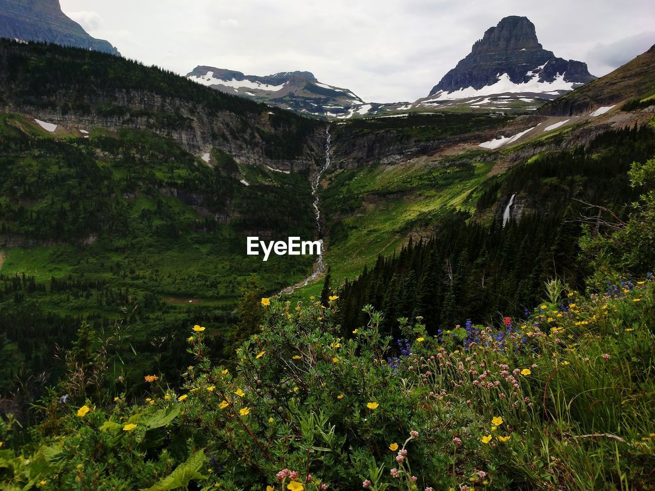 Scenic view of landscape and mountains against sky