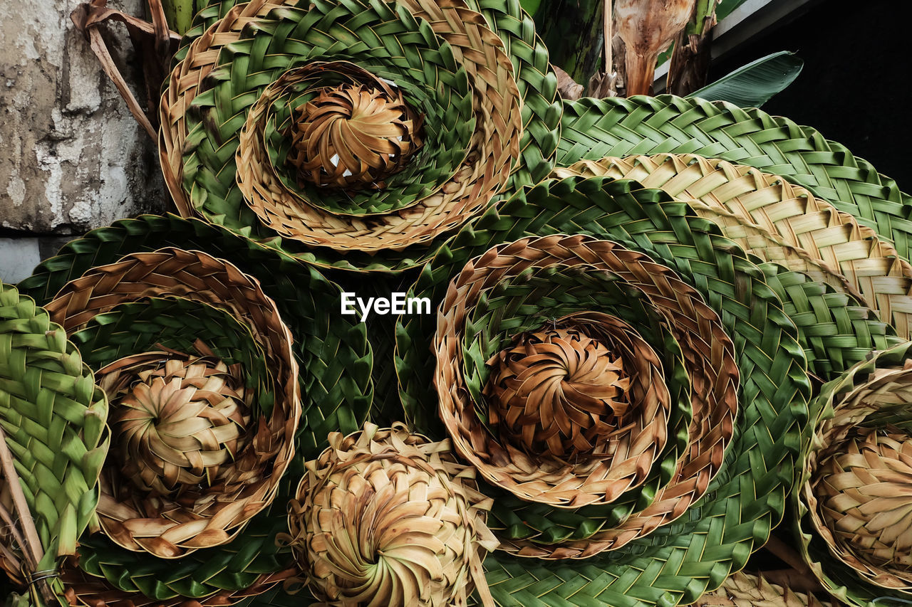 HIGH ANGLE VIEW OF SUCCULENT WICKER BASKET