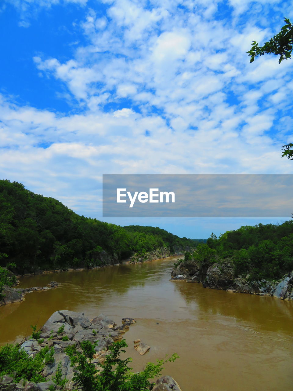 SCENIC VIEW OF RIVER AND TREES AGAINST SKY