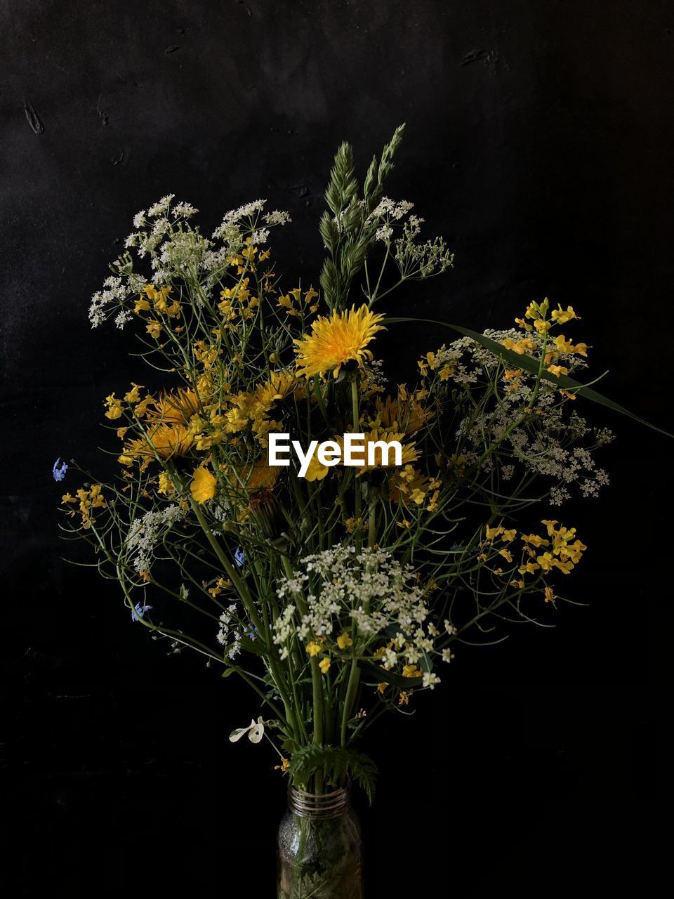 Close-up of flower vase against black background