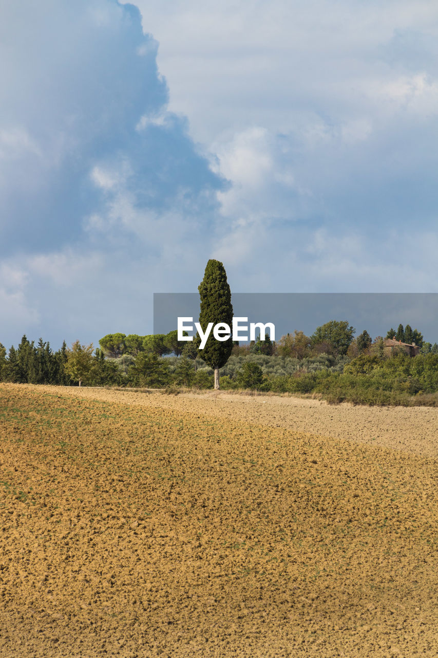 SCENIC VIEW OF FARM AGAINST SKY