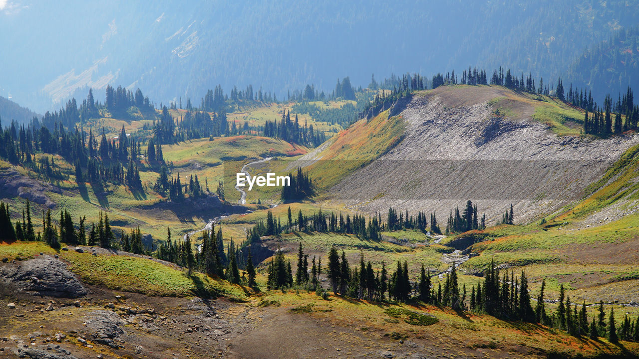 PANORAMIC SHOT OF LAND AND TREES AGAINST SKY