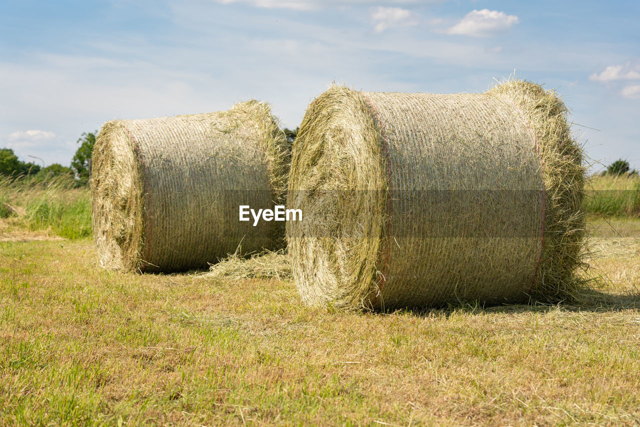 Hay bales on field against sky