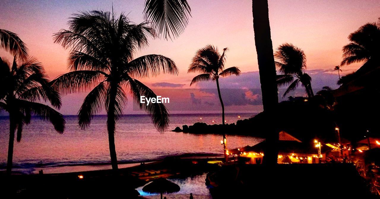 SILHOUETTE PALM TREES BY SWIMMING POOL AT SUNSET