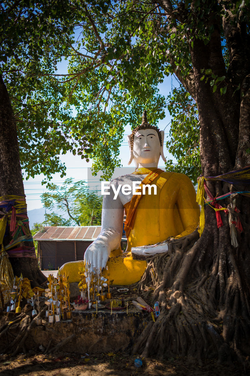 LOW ANGLE VIEW OF BUDDHA STATUE AGAINST TREES