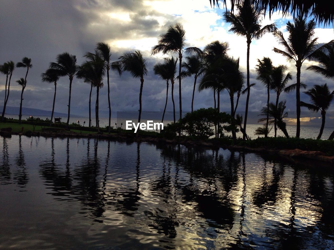 Silhouette palm trees by lake against cloudy sky at dusk