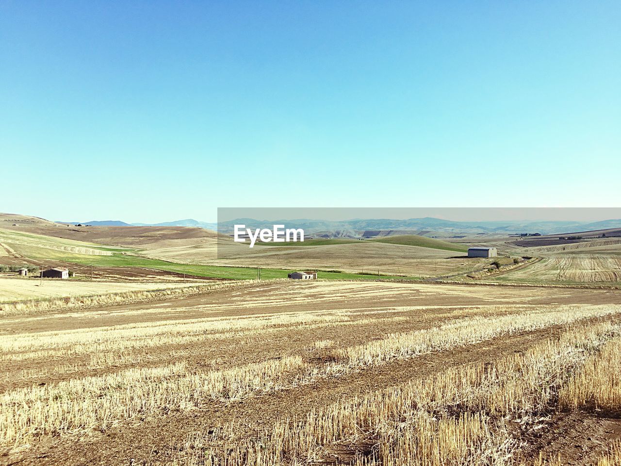 DIRT ROAD PASSING THROUGH FIELDS