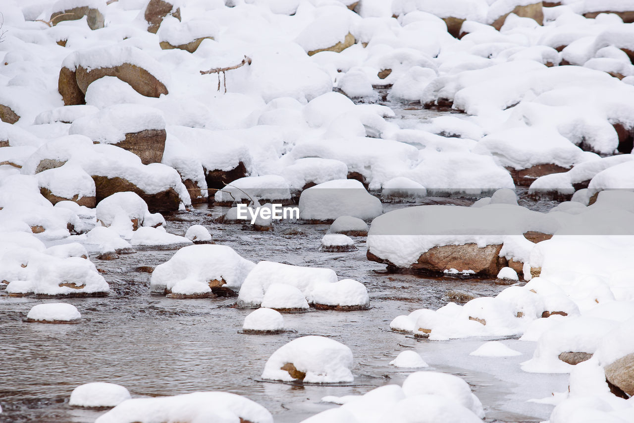 Flock of swans on frozen lake during winter