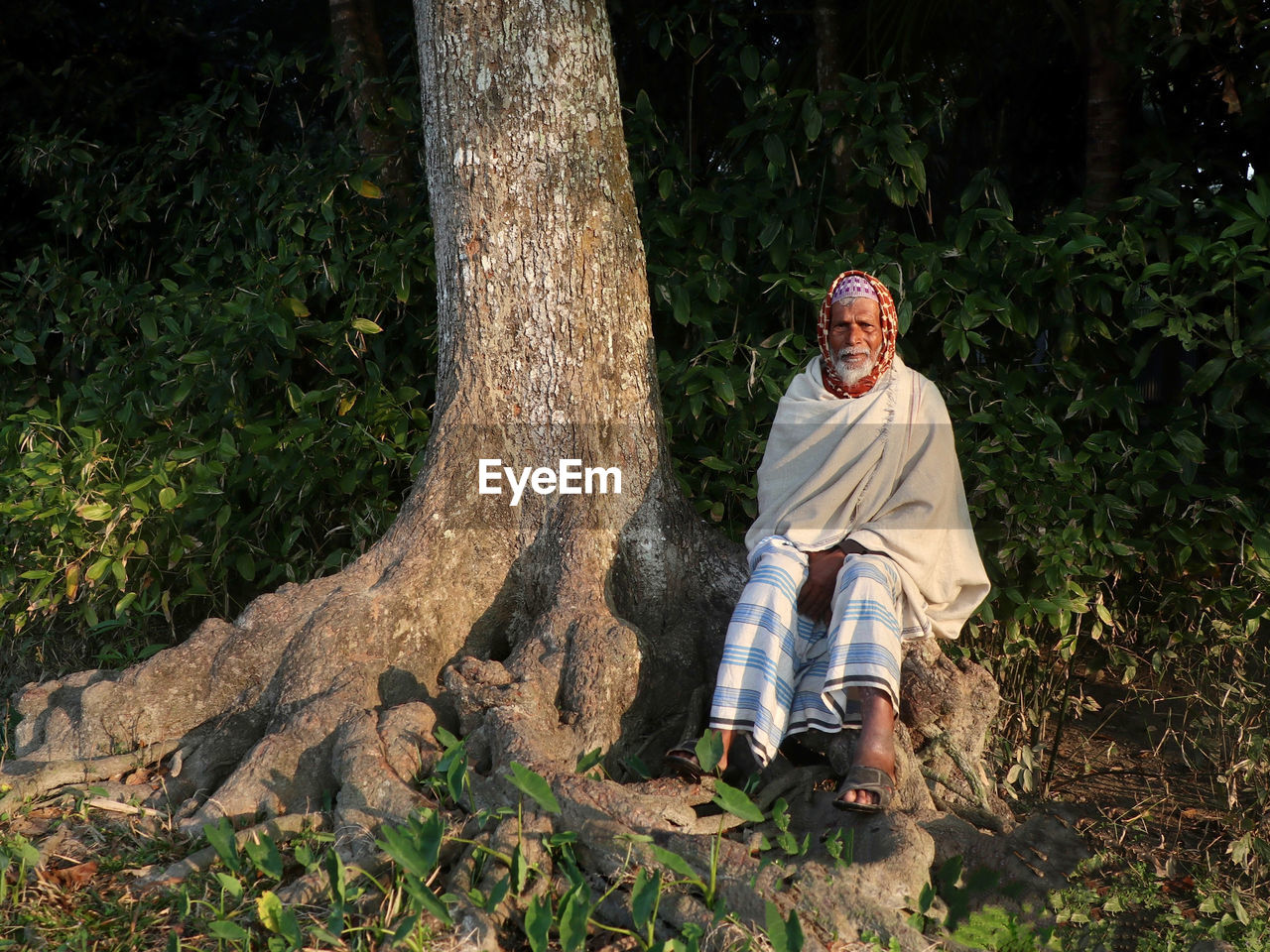 Portrait of man sitting on tree base 