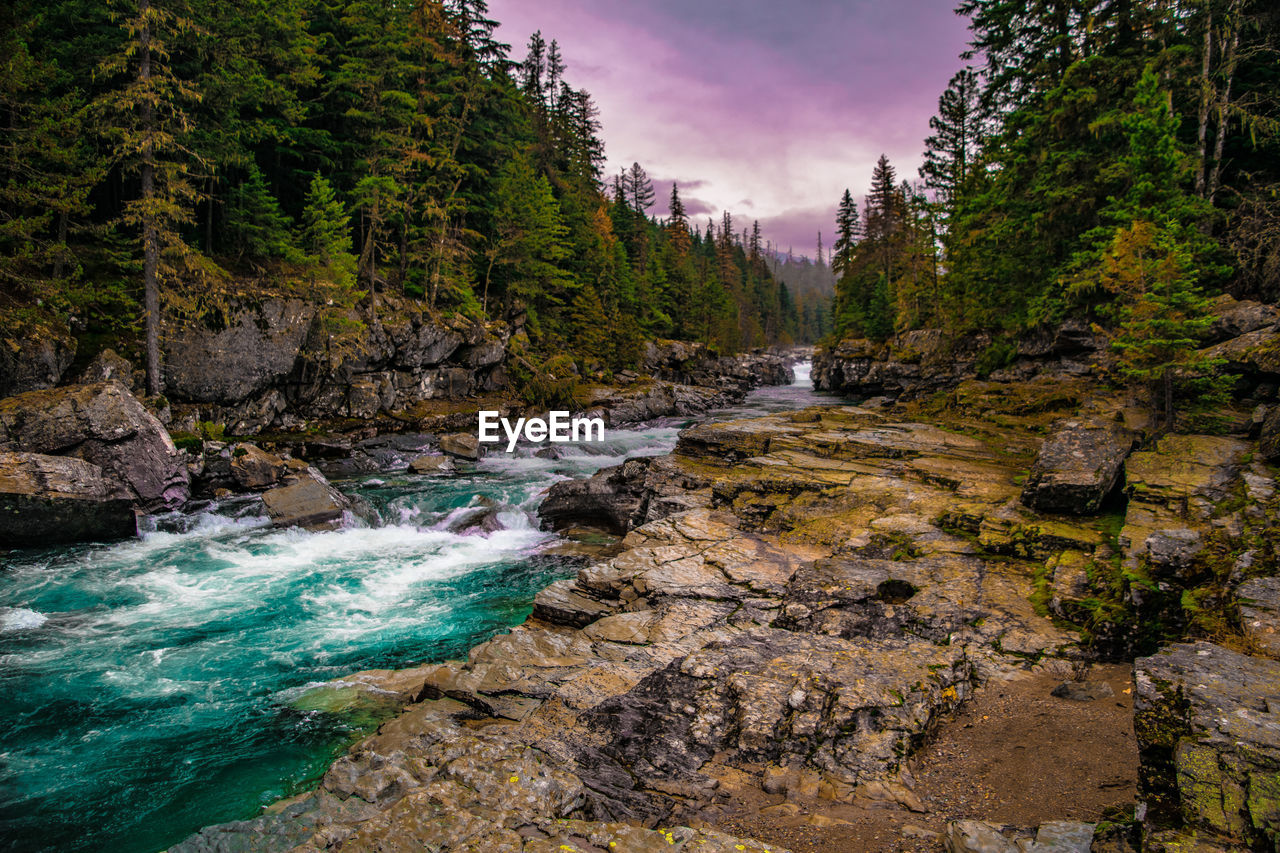 SCENIC VIEW OF RIVER BY TREES AGAINST SKY