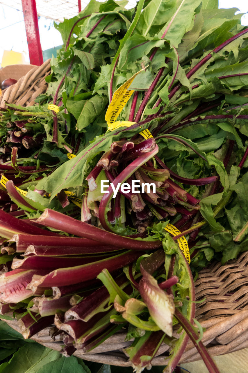 CLOSE-UP OF VEGETABLES IN PLATE