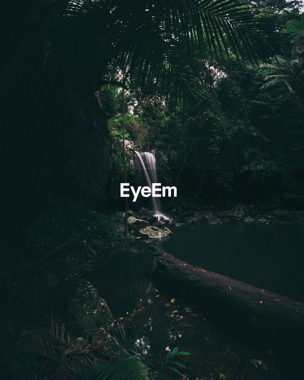 SCENIC VIEW OF WATERFALL ON FOREST
