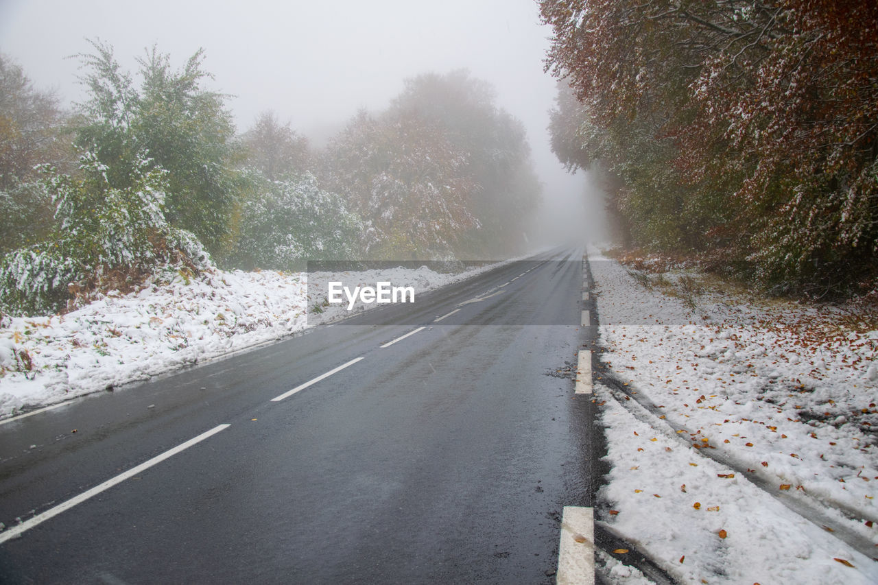 Road amidst trees during winter