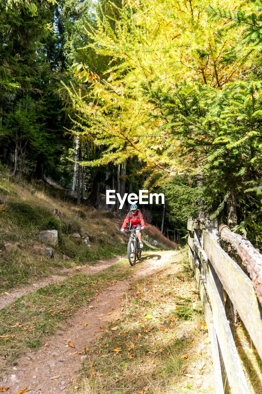 Woman riding bicycle in forest