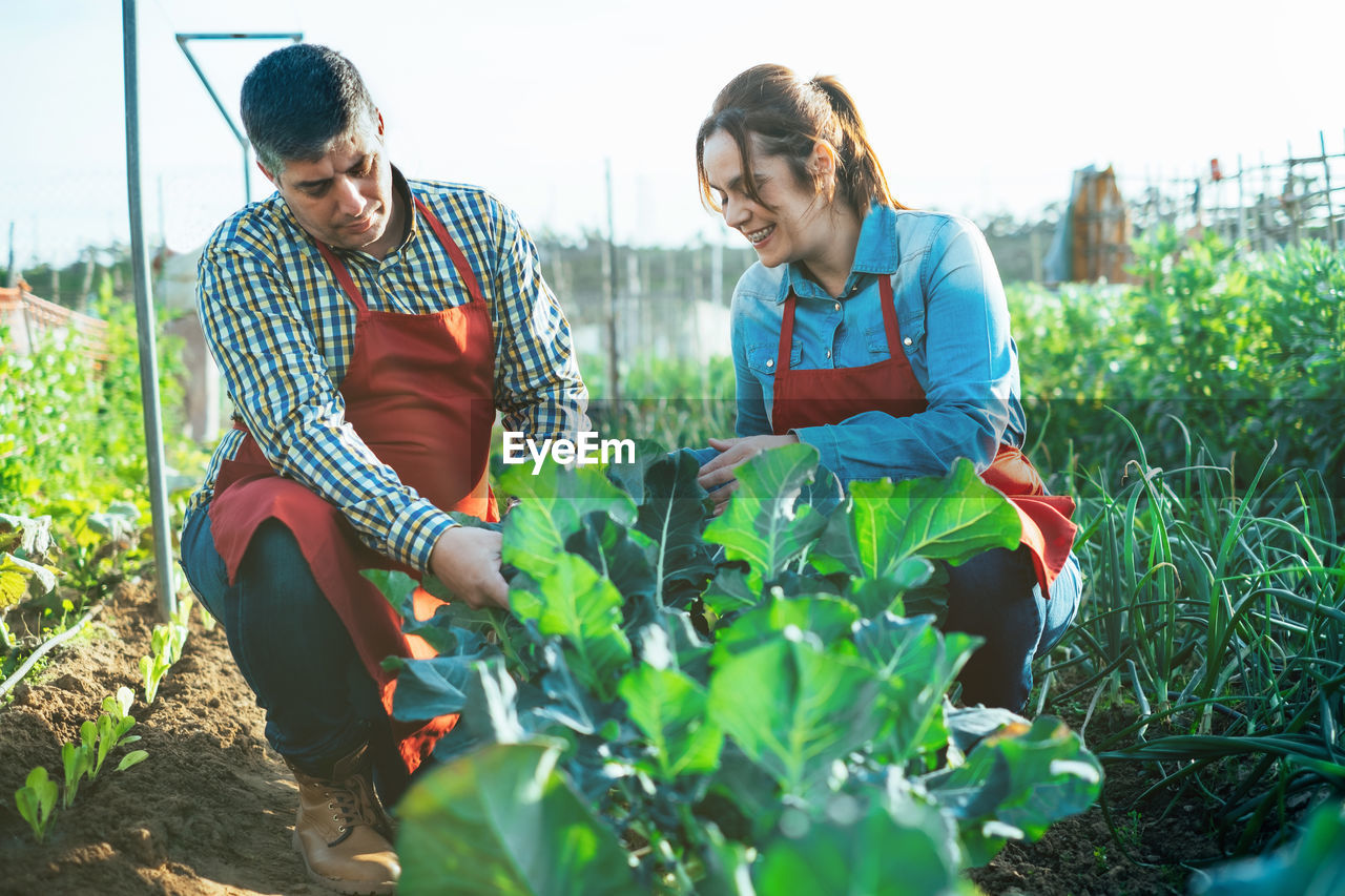 Man and woman standing in farm