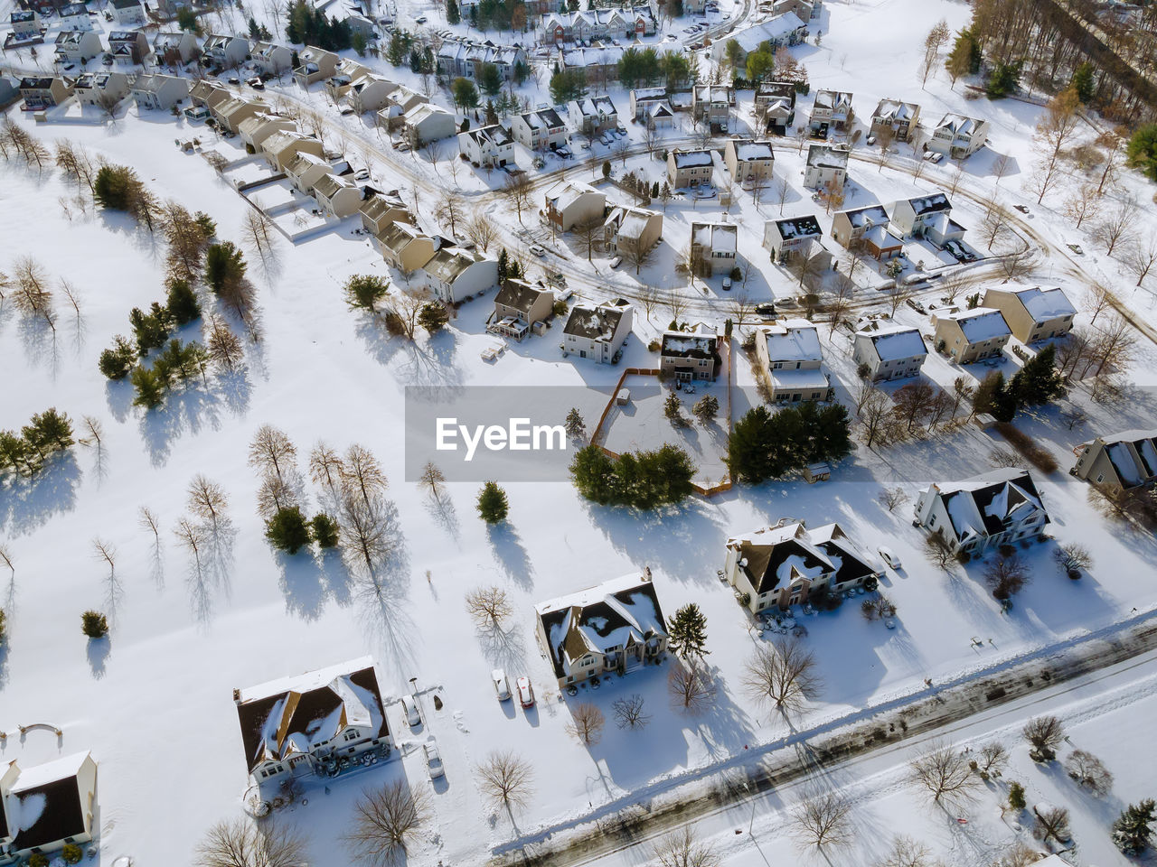 HIGH ANGLE VIEW OF TREES ON SNOW COVERED BUILDINGS