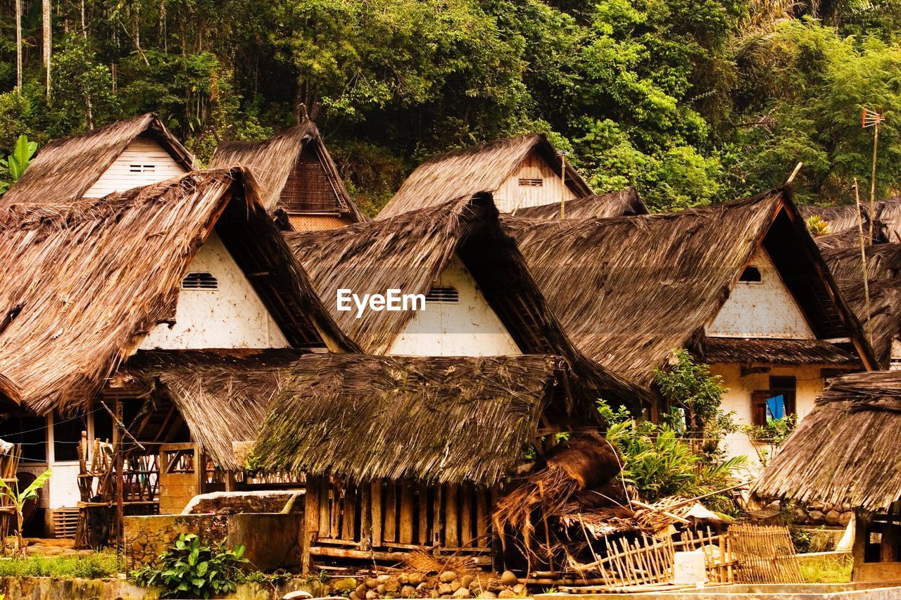 Houses with thatched roof in a village