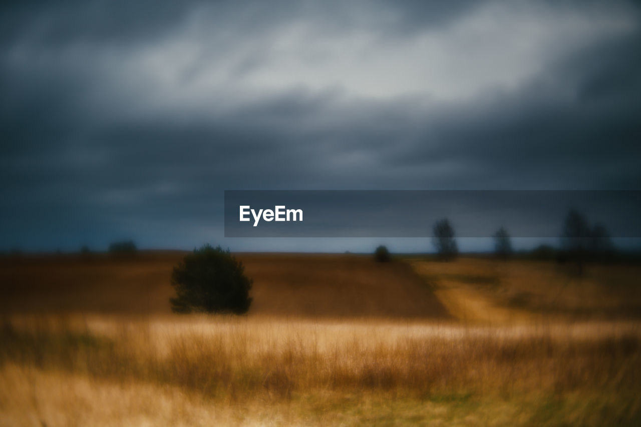 VIEW OF FIELD AGAINST CLOUDY SKY