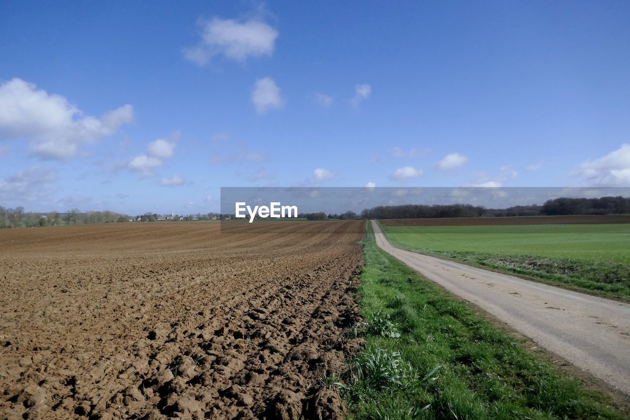 Scenic view of agricultural field against sky