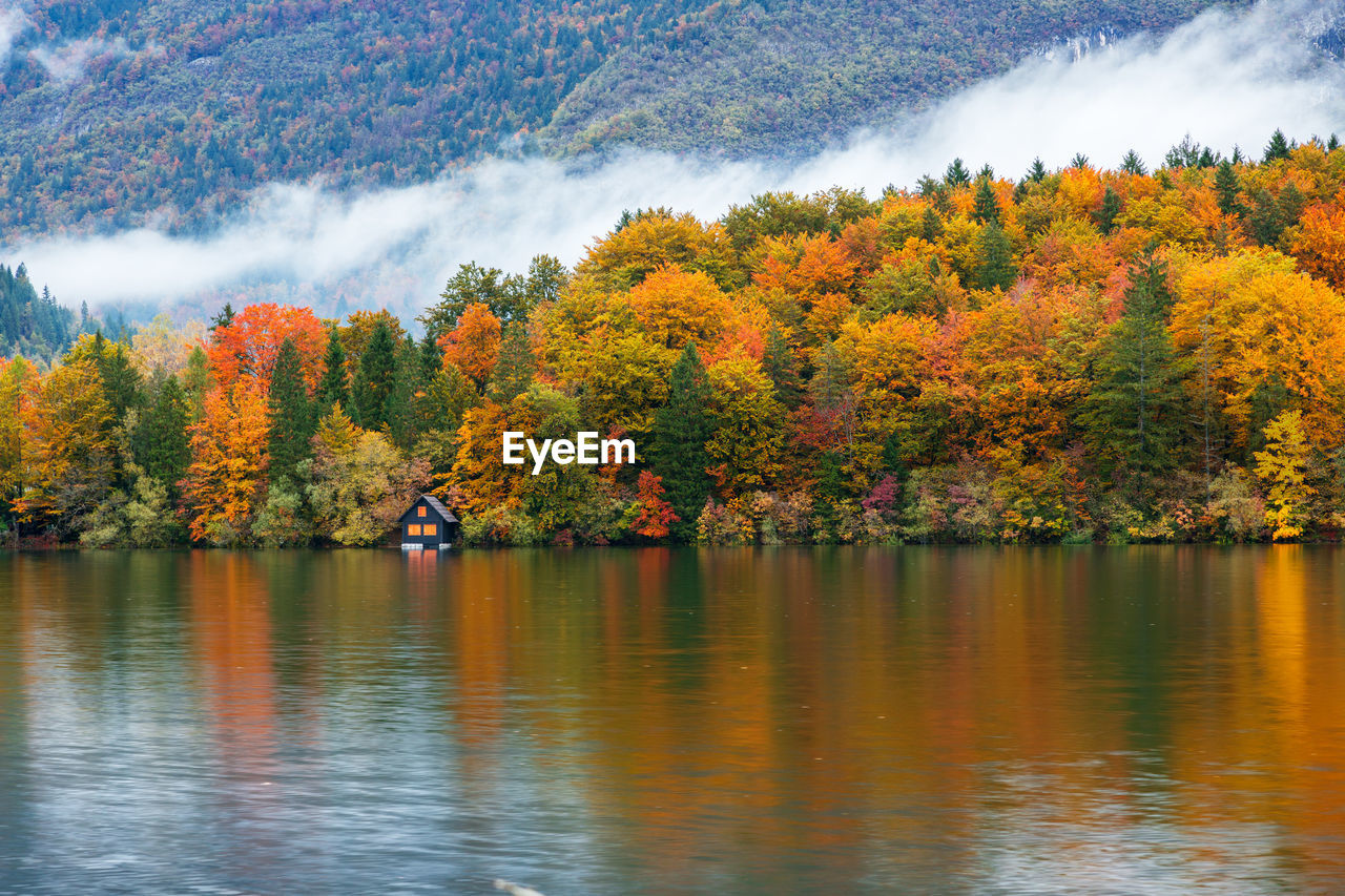 SCENIC VIEW OF LAKE AND TREES DURING AUTUMN