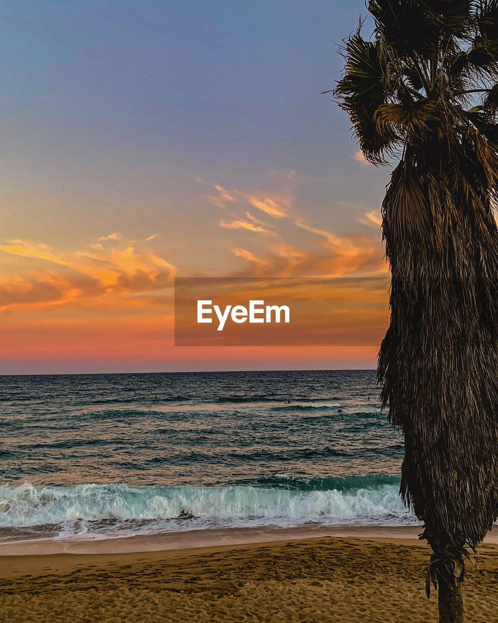 SCENIC VIEW OF BEACH DURING SUNSET